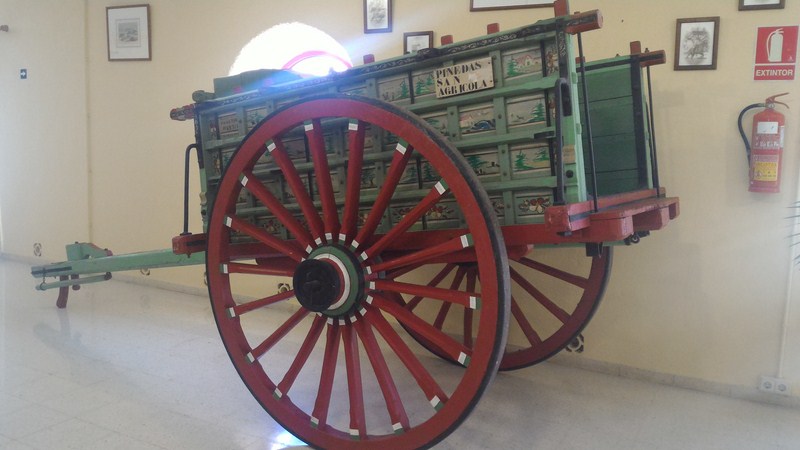 P 20170405 112116 [1600x1200]